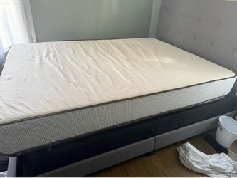 Queen Mattress & Box spring