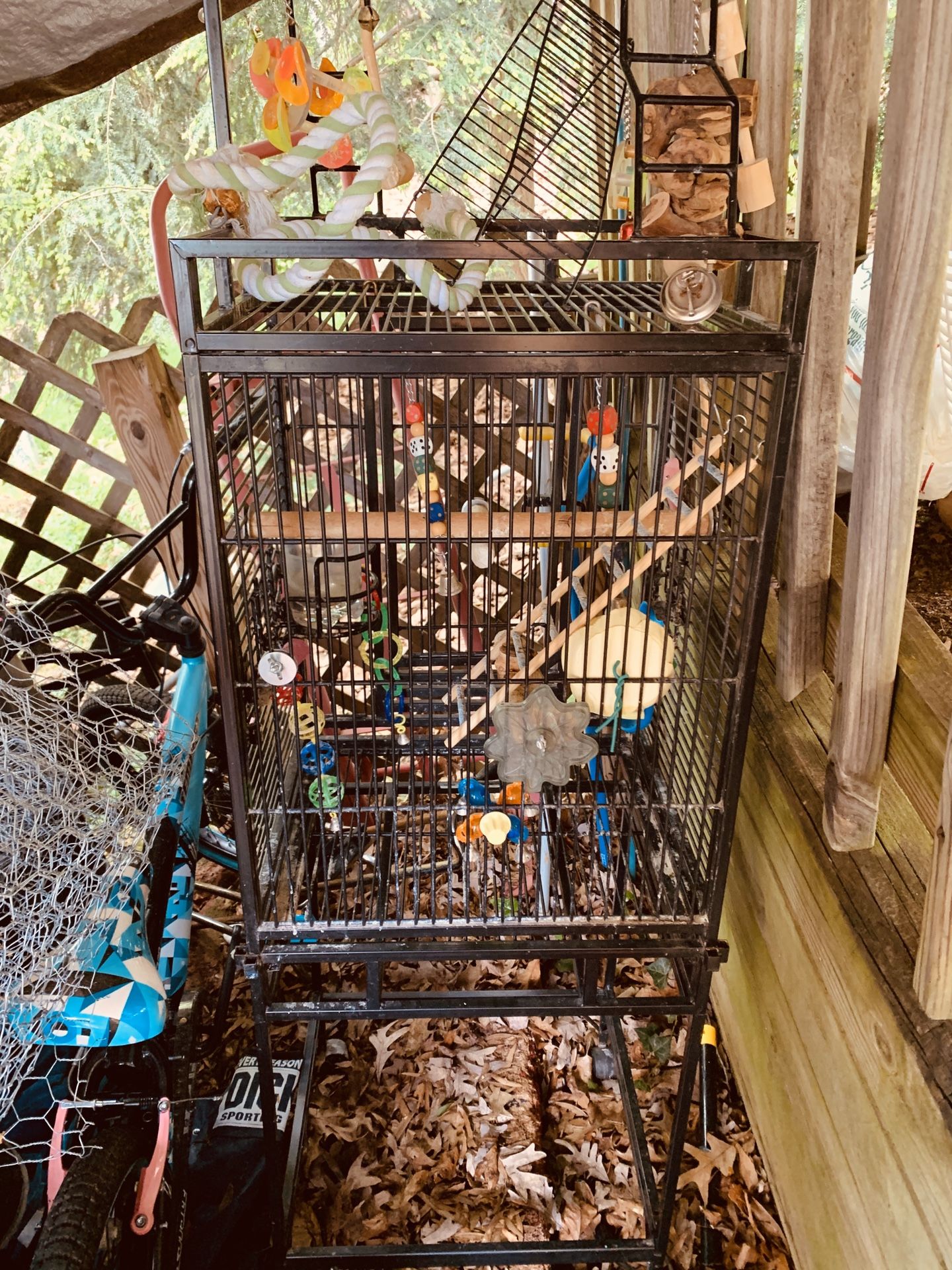 Beautiful birds cage