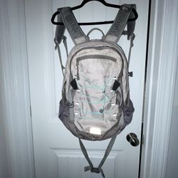 Northface Borlealis Classic BackPack