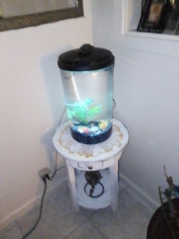 8 Gallon Fish Tank Have Pump Lights Rocks And Decorations 