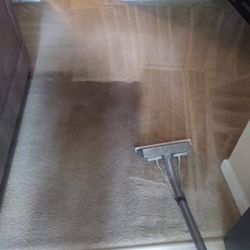 Carpet Cleaner