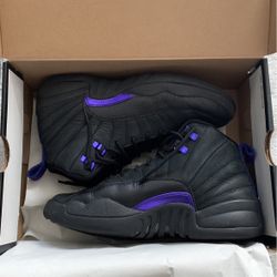Jordan 12 dark concard 