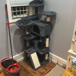 Cat Scratcher / Play House