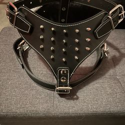 Large LEATHER HARNESS with Spikes 