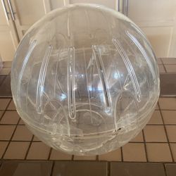 Large Rodent Ball