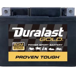 BATTERY DURALAST GOLD AZC4L