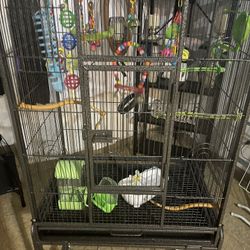 Wrought Iron Bird Cage 