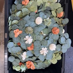 Eucalyptus Vines For Center Pieces 