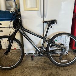 Trek Mountain Bike 220