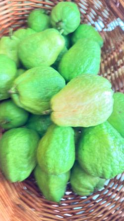 Fresh Guava