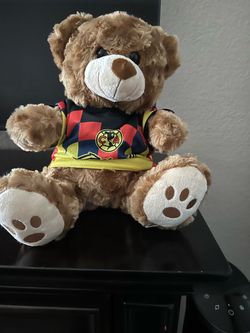 Teddy bear