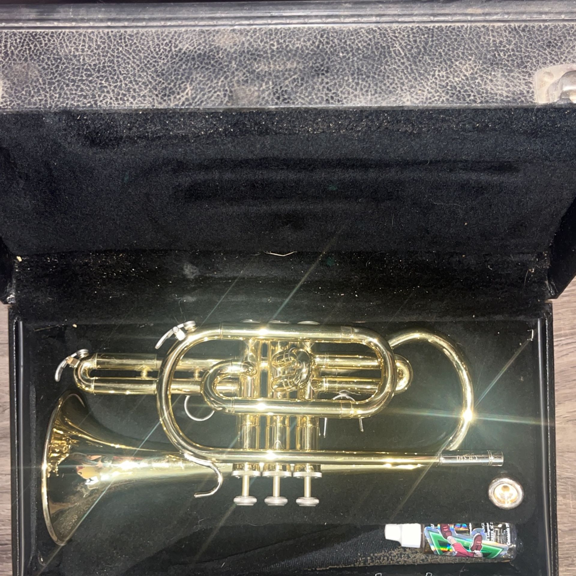 Cornet Cr310