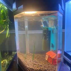 1.5 Gallon Fish Tank Hexagon With Brightness Changing Light 