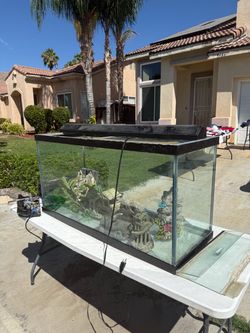 Large Glass Fish Tank Aquarium or terrarium with Decorations