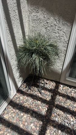 Artificial plant and stand