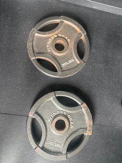Fitness Gear 35 lb Weight Plates – Pair