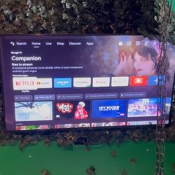 75 Inch 