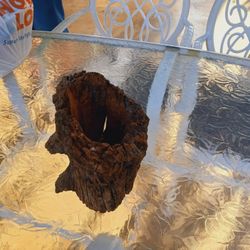 Drift Wood 