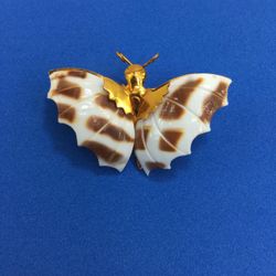 BUTTERFLY BROOCH ⭐️⭐️