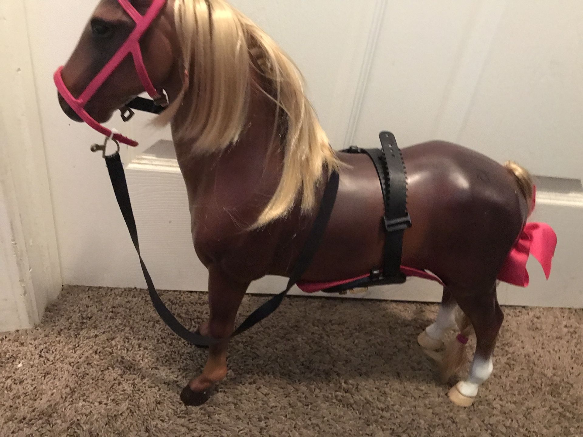 horse Like New 20/20 Inch
