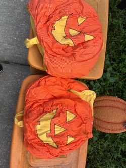 HALLOWEEN pumpkin & Bee costumes