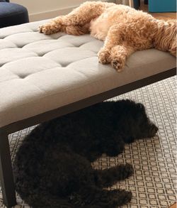 Room & Board Tufted Fabric Coffee Table/Ottoman