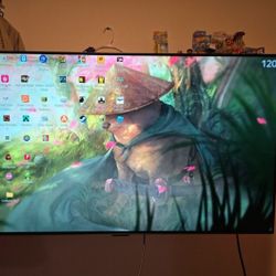48 Inch LG Ultragear OLED 138hz Monitor