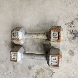 10lb Dumbbells