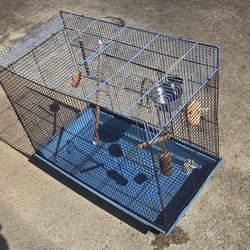 Cage Birds 