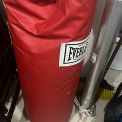 everlast punching bag 
