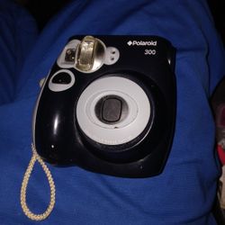 Polaroid 300