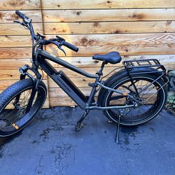 Rad Fat Tire Power Bike