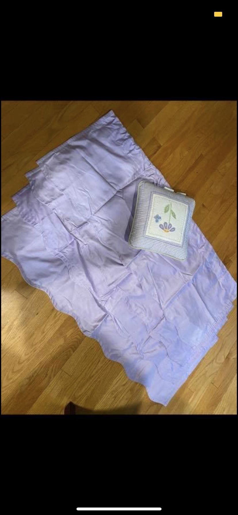 Pottery Barn Comforter with matching pillow