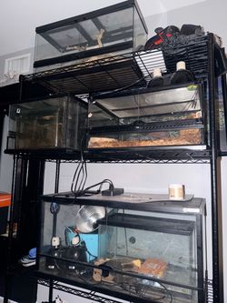 REPTILE TANKS AND ACCESSORIES DM FOR PICS