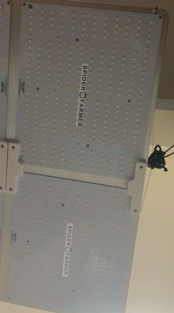 Spider farm grow light and bug light defense