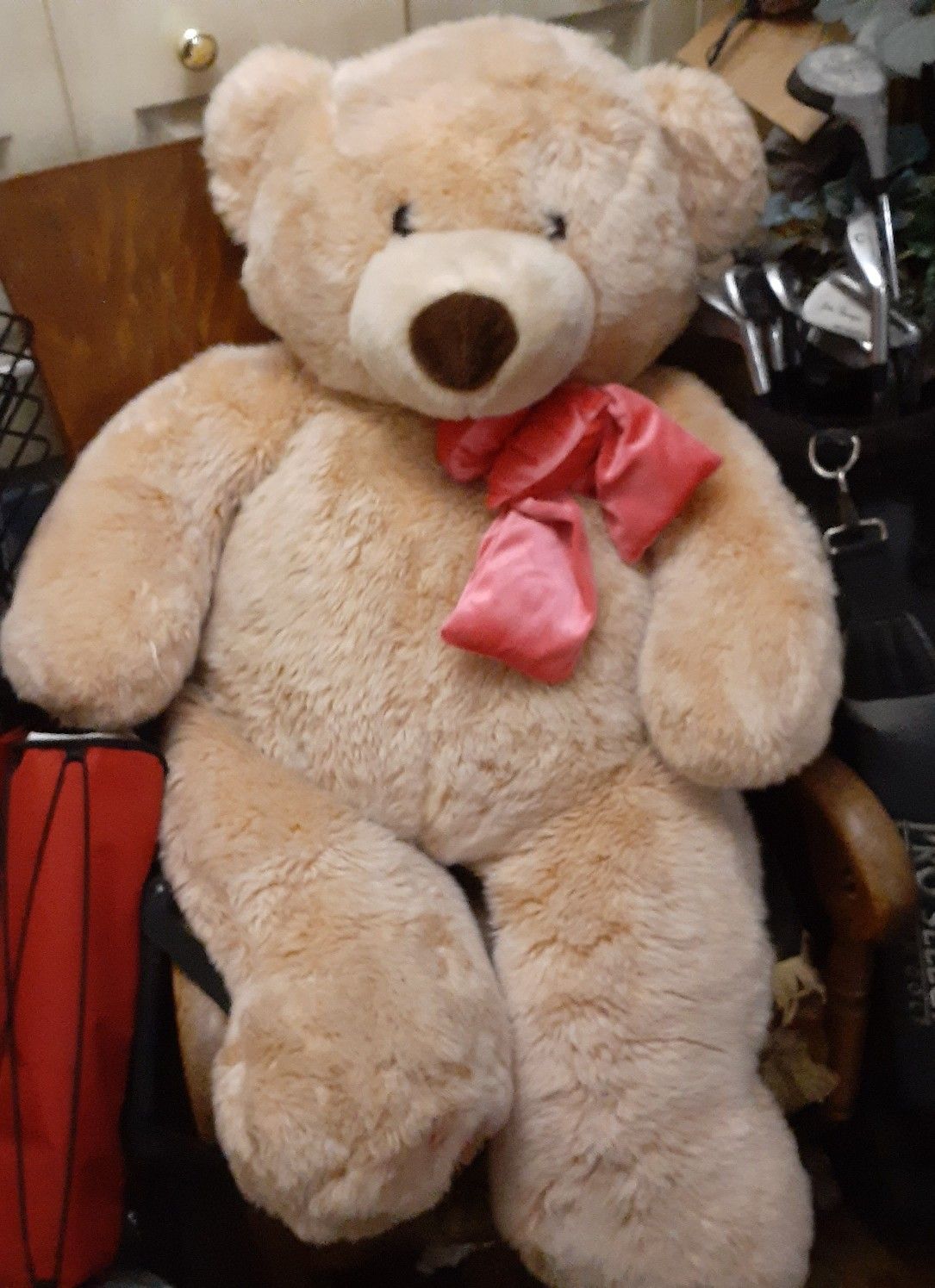 Huge Teddy Bear