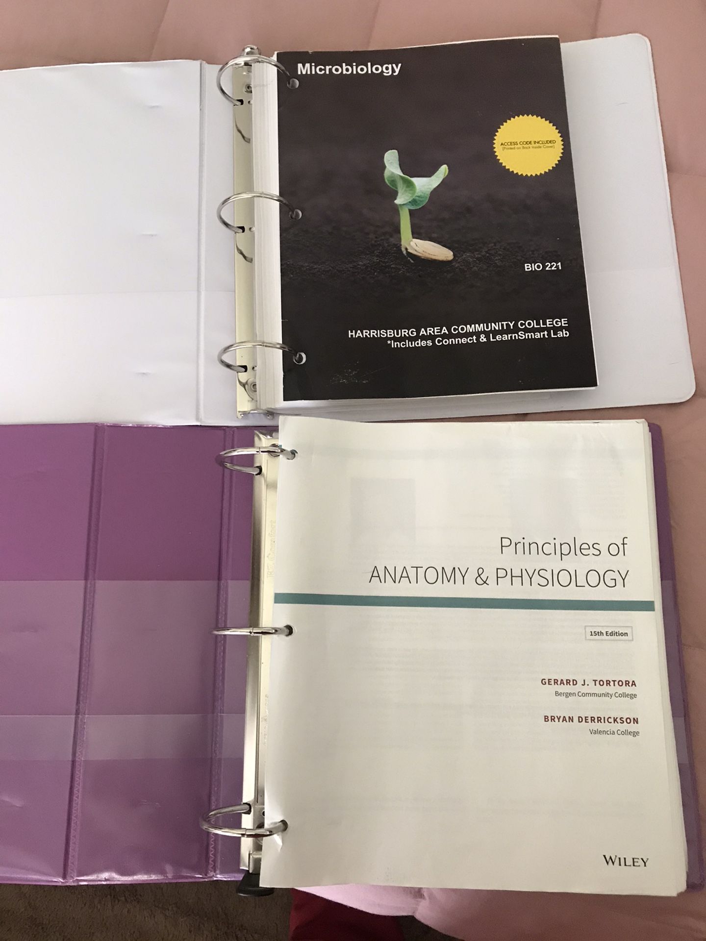 Micro&A&P book