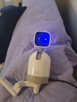 Blink Camera (With Audio)