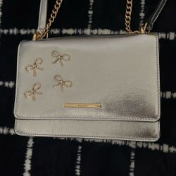 Silver & Gold ALDO Crossbody Purse