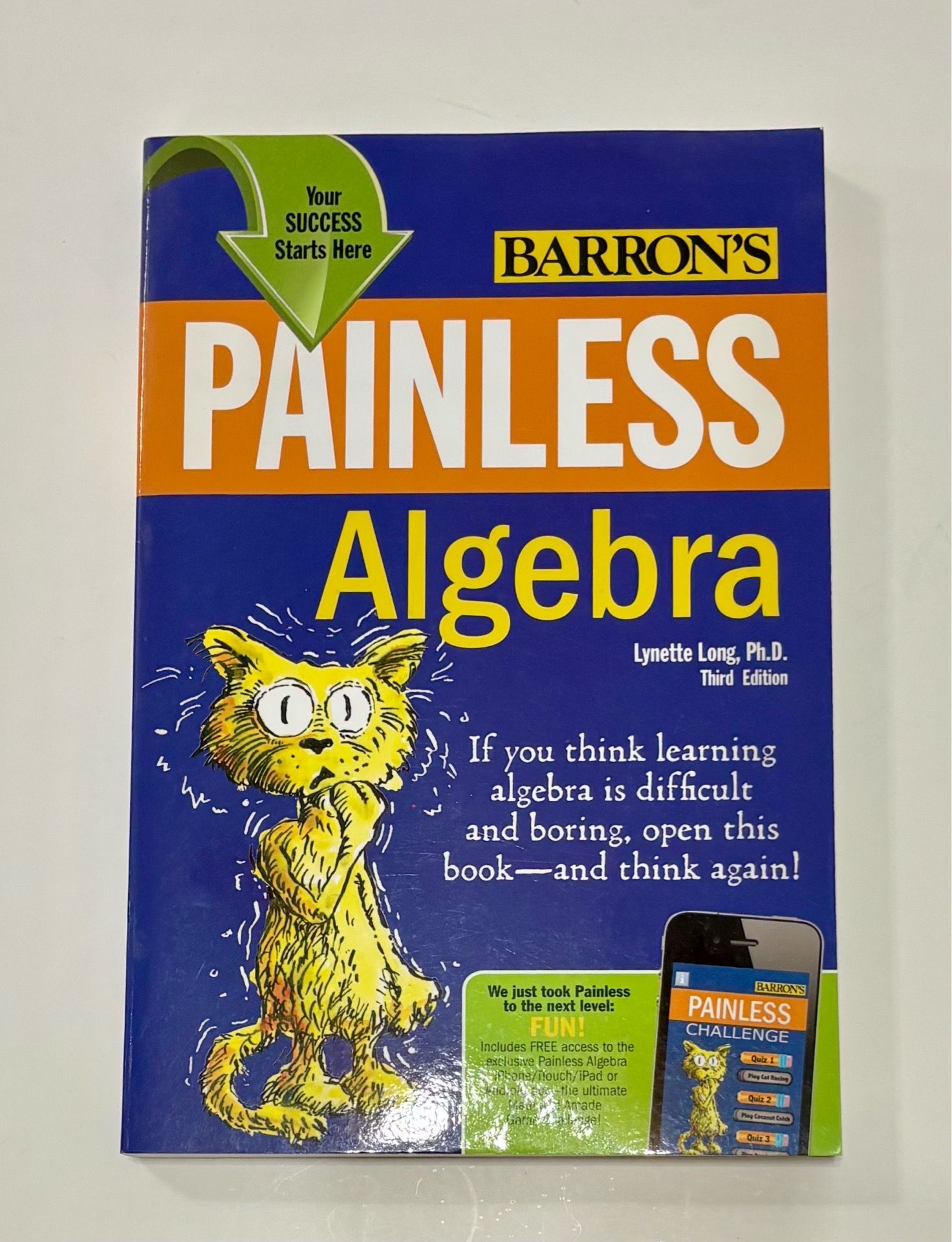 Painless Algebra (3rd Edition) by Lynette Long, Ph.D.