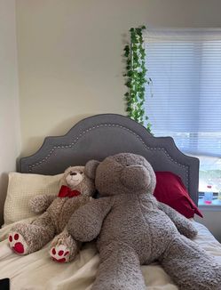 Full size bed frame/mattress
