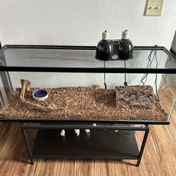 Reptile Tank 