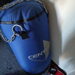 Century Punching Bag