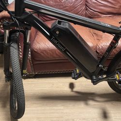 Tot Guard Ebike (parts or repairs)