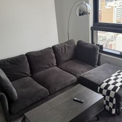 Velvet couch 