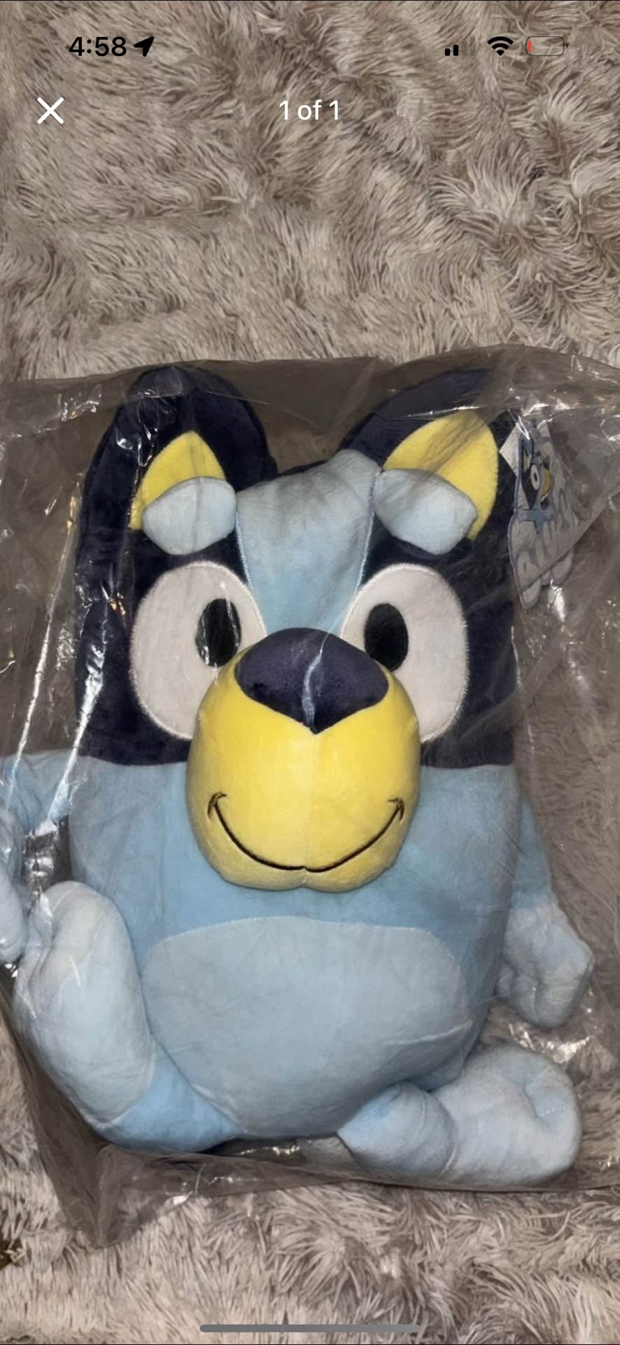 Bluey