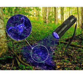 UV Ultra Violet 12 LED Flashlight Blacklight Light 395 nM Inspection Lamp Torch