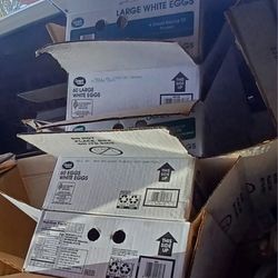 Moving Boxes All Purpose 