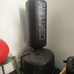 Century Wave master Punching Bag