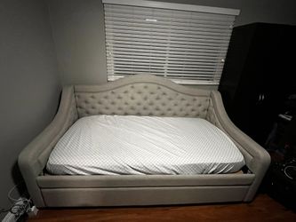 Paityn daybed 2024 with trundle